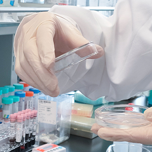 基因解码基因检测招聘学术支持