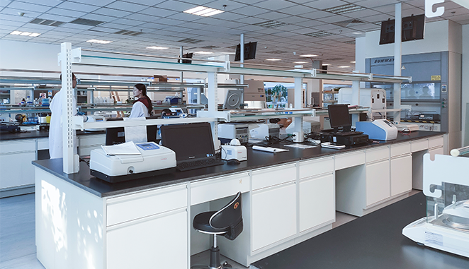 基因解码揭密耳聋的发生过程中的基因信息