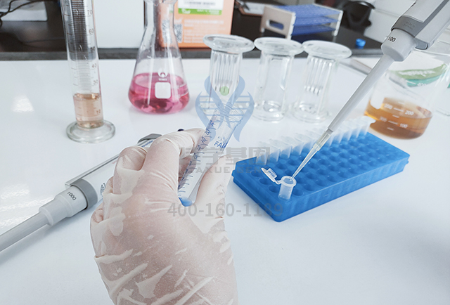 佳学基因解码之情商基因解码