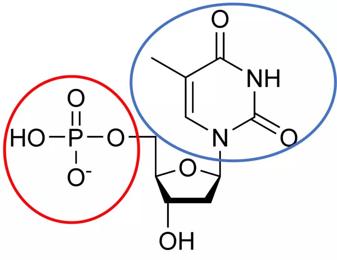 【佳学基因检测