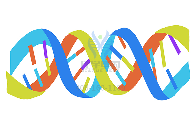 【佳学基因检测】远端型遗传性运动神经病II型基因解码、基因检测可以只做基因解码吗? 【佳学基因检测】远端型遗传性运动神经病II型基因解码、基因检测可以只做基因解码吗?
