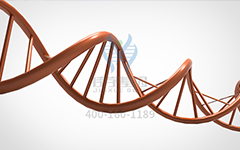 【佳学基因检测】怎么做常染色体隐性广泛性甲状腺激素抵抗基因解码、基因检测? 【佳学基因检测】怎么做常染色体隐性广泛性甲状腺激素抵抗基因解码、基因检测?