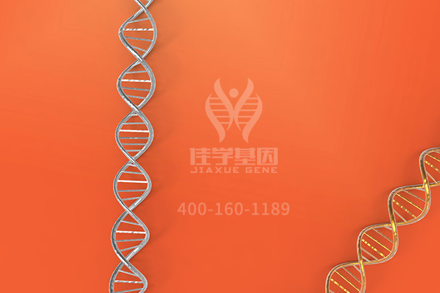 【佳学基因检测】医学院专升本关于NBEAP1分子病理检测的基本技能