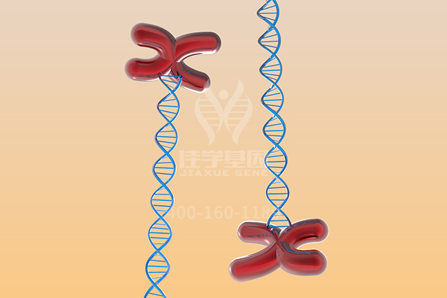 【佳学基因检测】主治医师分子病理检测BAK1P1内容要点 【佳学基因检测】主治医师分子病理检测BAK1P1内容要点