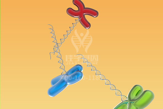 【佳学基因检测】ATP4A分子病理检测的意义 【佳学基因检测】ATP4A分子病理检测的意义