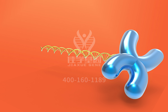 【佳学基因检测】神经外科学中如何充实APOC1P1分子病理检测内容 【佳学基因检测】神经外科学中如何充实APOC1P1分子病理检测内容