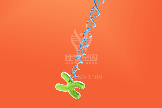 【佳学基因检测】知道ALDH7A1P4的这些内容，是分子病理检测全面性一个准备