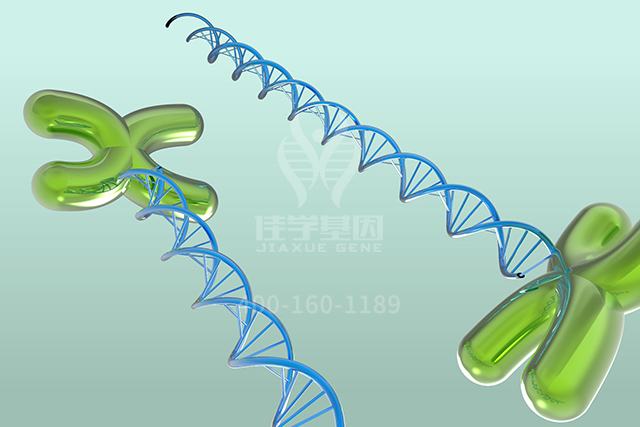 【佳学基因检测】医学院硕士研究考试关于ARSF分子病理检测的知识要点 【佳学基因检测】医学院硕士研究考试关于ARSF分子病理检测的知识要点