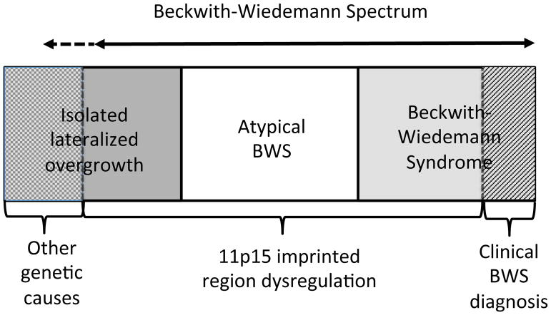 【佳学基因检测】BWS综合征的基因解码、基因检测标准与共识
