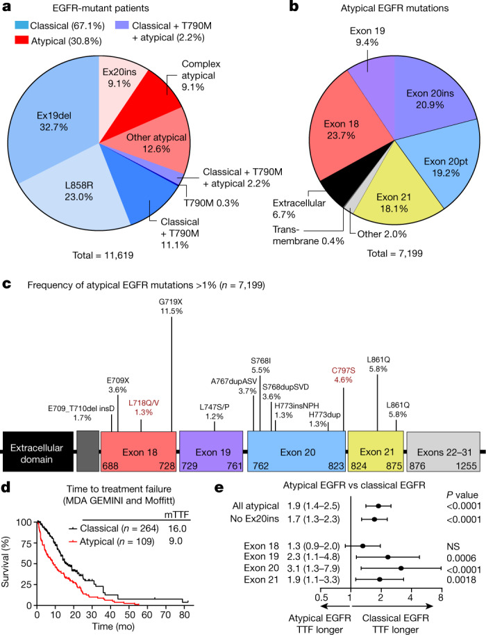 【佳学基因检测】非小细胞肺癌基于结构功能分析的靶向药物基因突变基因检测