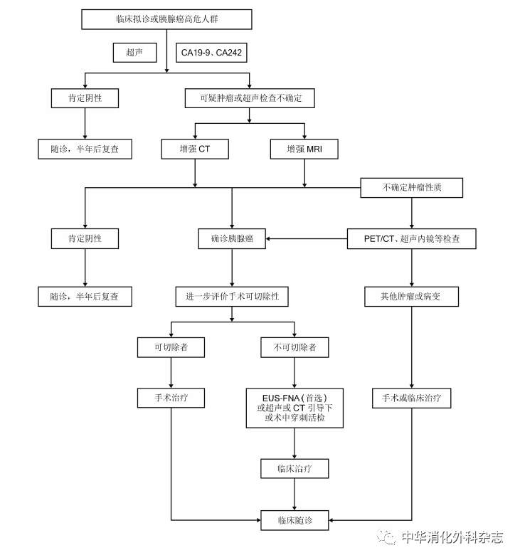 【佳学基因检测】胰腺癌基因检测与诊断治疗指南
