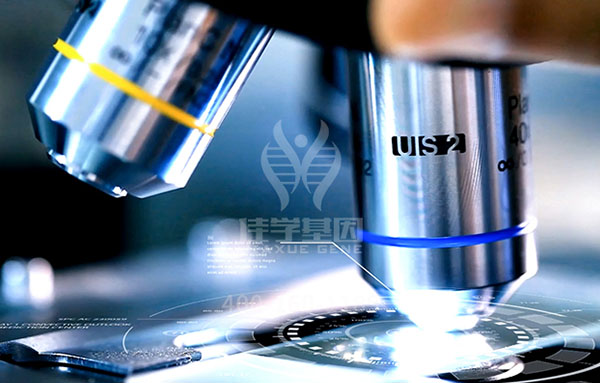 【佳学基因检测