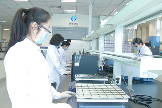 【佳学基因检测