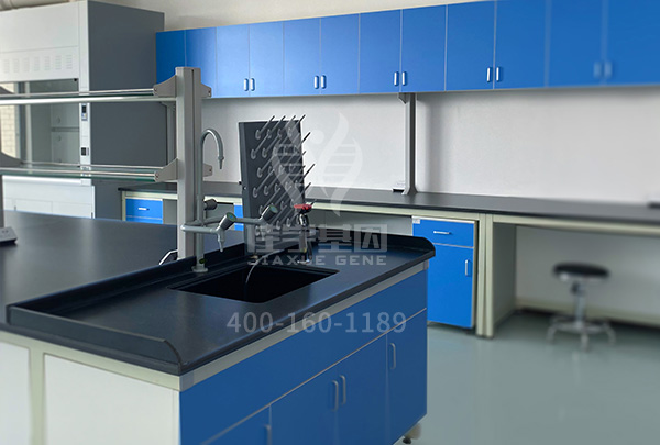 【佳学基因检测】CD8A基因测试的意义