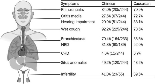 【佳学基因检测】原发性纤毛运动障碍临床表现及基因检测结果的变化