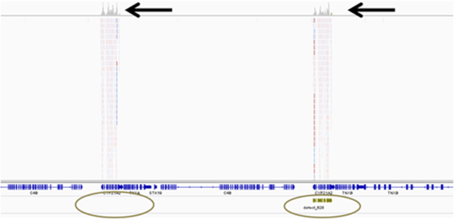 【佳学基因检测13】医院所需要的下一代测序技术（NGS测序）