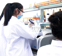 【佳学基因解码-基因检测】这些明星因肥胖而陨落，肥胖竟会导致这些癌症的爆发？