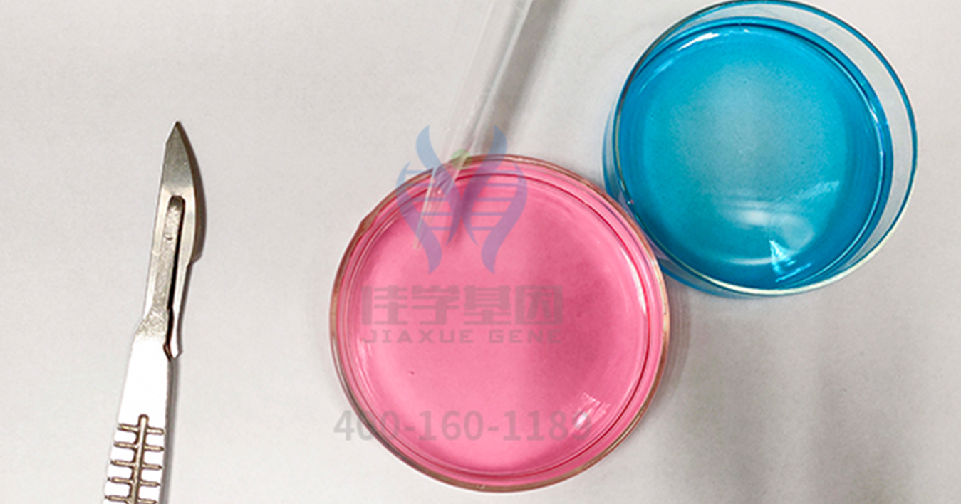 【佳学基因检测】结婚前发现男朋友有DHCR7基因突变,是否应当分手? 【佳学基因检测】结婚前发现男朋友有DHCR7基因突变,是否应当分手?