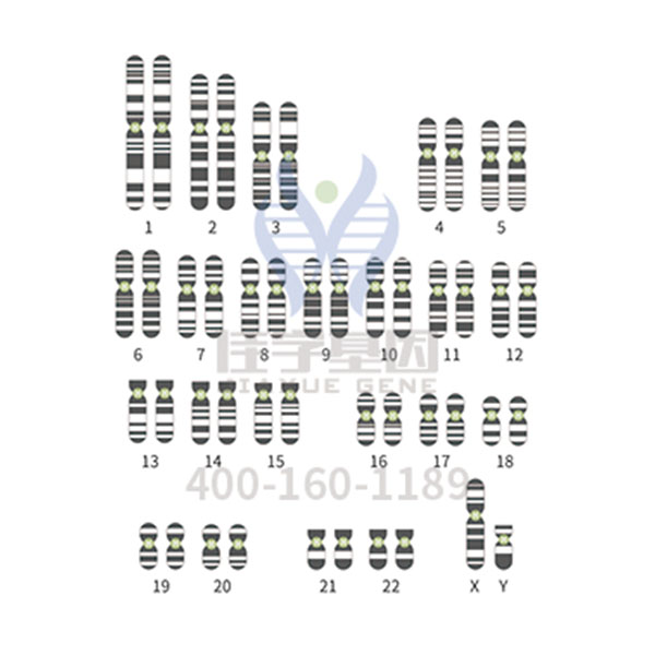 【佳学基因-基因检测】基因解码让孩子远离侏儒症