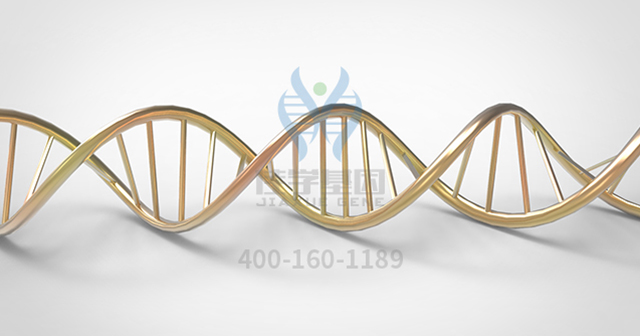 【佳学基因-基因检测】父母均正常,为什么孩子会患上“瓷娃娃”——成骨不全症? 【佳学基因-基因检测】父母均正常,为什么孩子会患上“瓷娃娃”——成骨不全症?