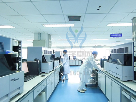 【佳学基因-基因