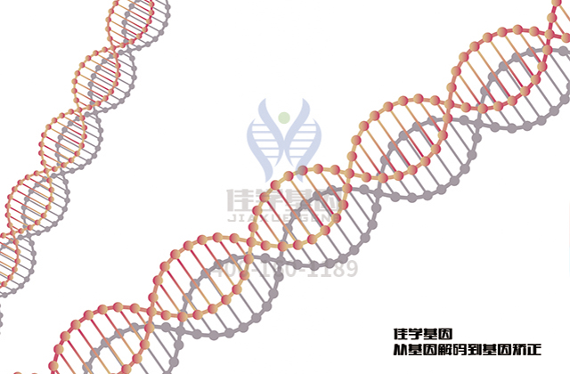 【佳学基因-基因检测】面肩胛臂肌肉萎缩症——请还给我自由的笑容
