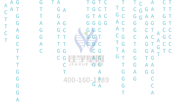 【佳学基因解码-基因检测】一种类肿瘤的肺部疾病——特发性肺纤维化 【佳学基因解码-基因检测】一种类肿瘤的肺部疾病——特发性肺纤维化
