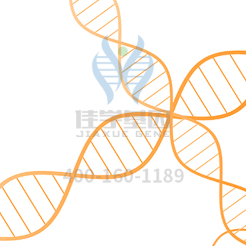 【佳学基因检测】抑郁症靶向药物有望问世，让我们一起走出抑郁