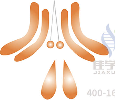 【佳学基因检测】无精症，是不是就意味和孩子无缘了？