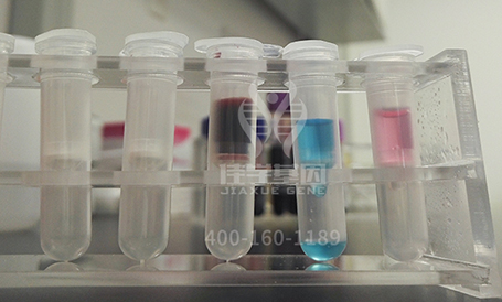 【佳学基因检测】突变检测ETV5存在移码突变，值担心吗？