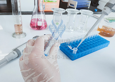 【佳学基因解码-基因检测】马拉松选手突发心梗，你真的适合跑马拉松吗？