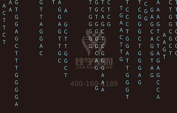 【得了肺癌怎么