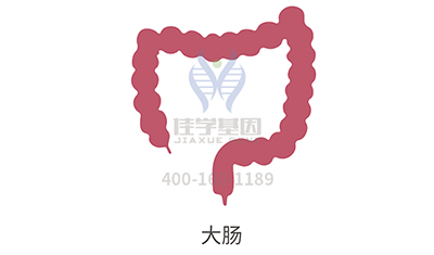 【佳学基因-基因检测】央视主持人肖晓琳因直肠癌去世,预防癌症, 我们该做些什么? 【佳学基因-基因检测】央视主持人肖晓琳因直肠癌去世,预防癌症, 我们该做些什么?