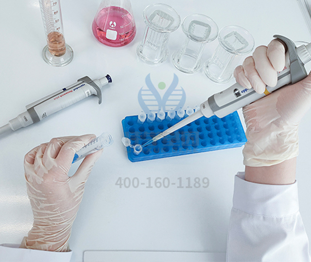 【佳学基因-基因检测】黑色素瘤具有高致死性,基因检测可以干什么? 【佳学基因-基因检测】黑色素瘤具有高致死性,基因检测可以干什么?